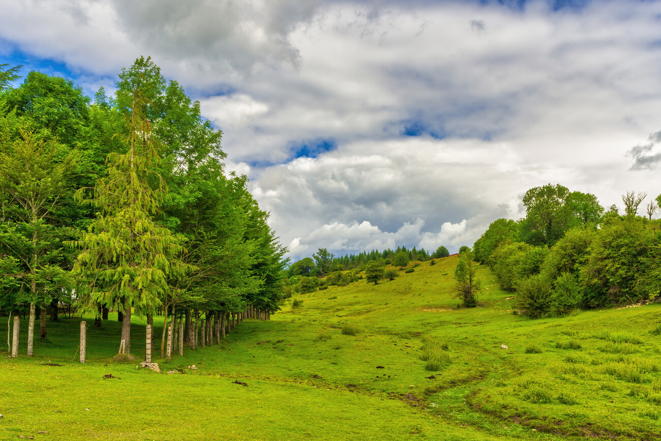 Comunicato Stampa 10/03/2023